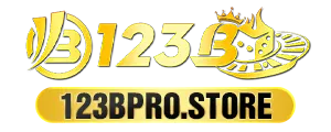 123bpro.store