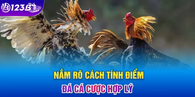 Nắm rõ cách tính điểm đá cá cược hợp lý