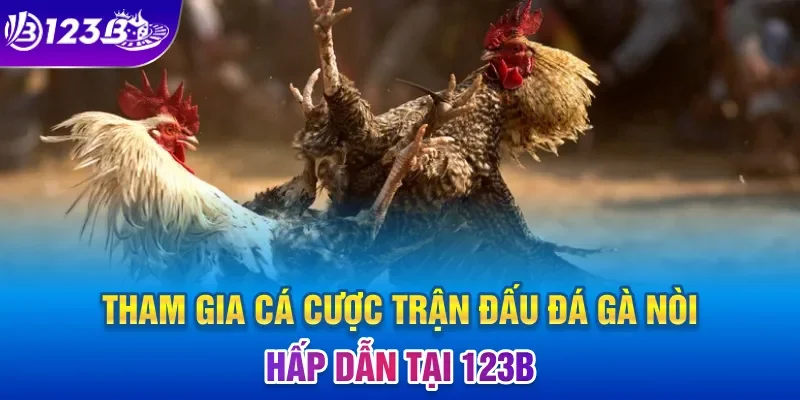 Tham gia cá cược trận đấu đá gà nòi hấp dẫn tại 123B