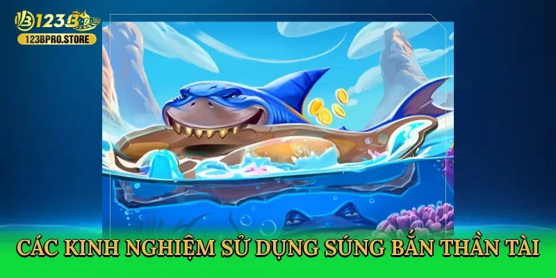 cac-kinh-nghiem-su-dung-sung-ban-than-tai-3