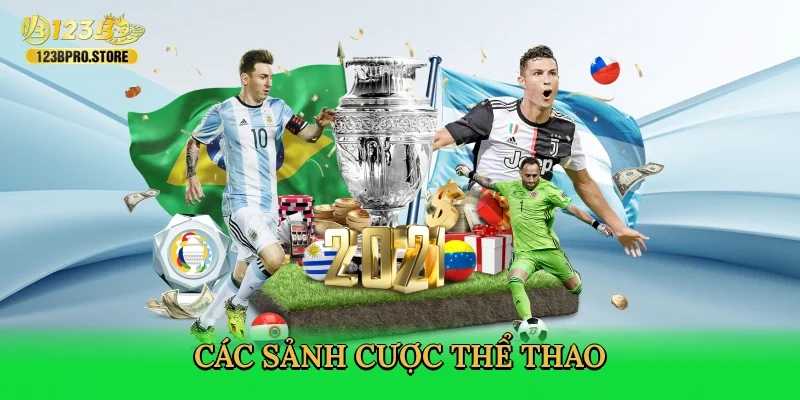 cac-sanh-cuoc-the-thao-3