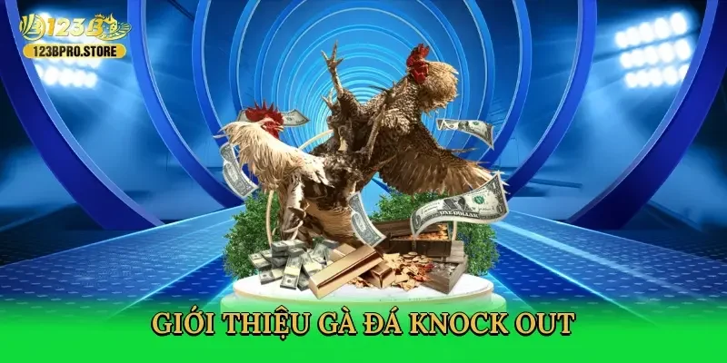 gioi-thieu-ga-da-knock-out-2