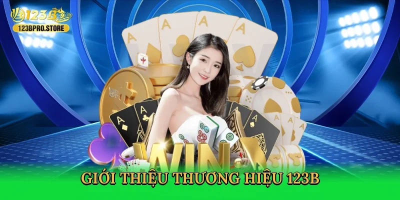 gioi-thieu-thuong-hieu-123b-2