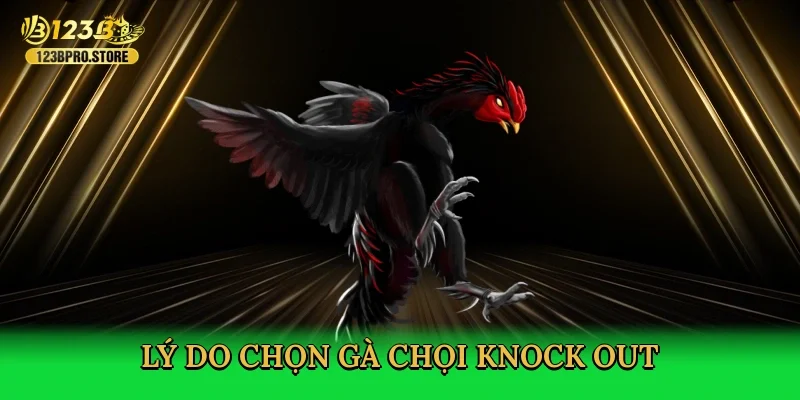ly-do-chon-ga-choi-knock-out-3