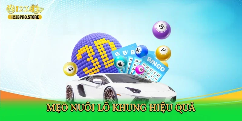 meo-nuoi-lo-khung-hieu-qua-4