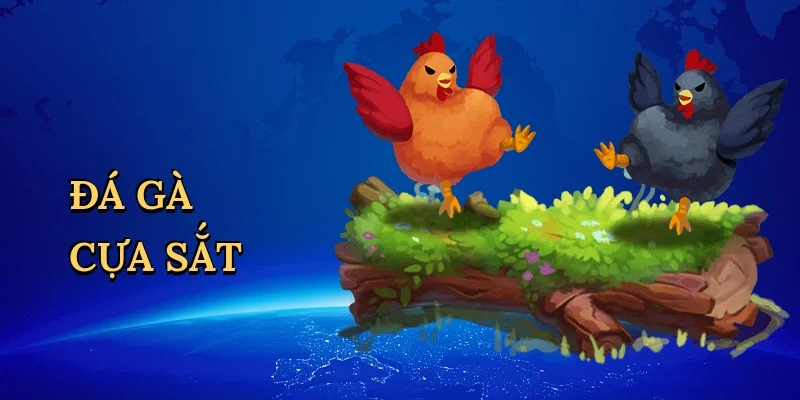 Đá gà cựa sắt