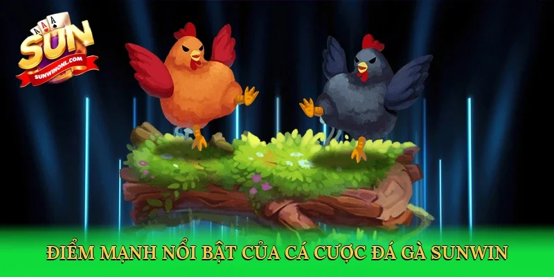 Điểm mạnh nổi bật của cá cược đá gà Sunwin