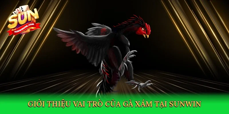 Giới thiệu vai trò của gà xám tại Sunwin