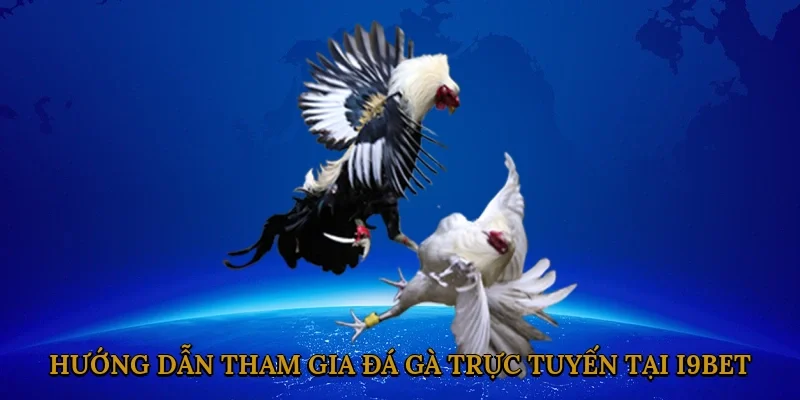 huong-dan-tham-gia-da-ga-truc-tuyen-tai-i9bet-2