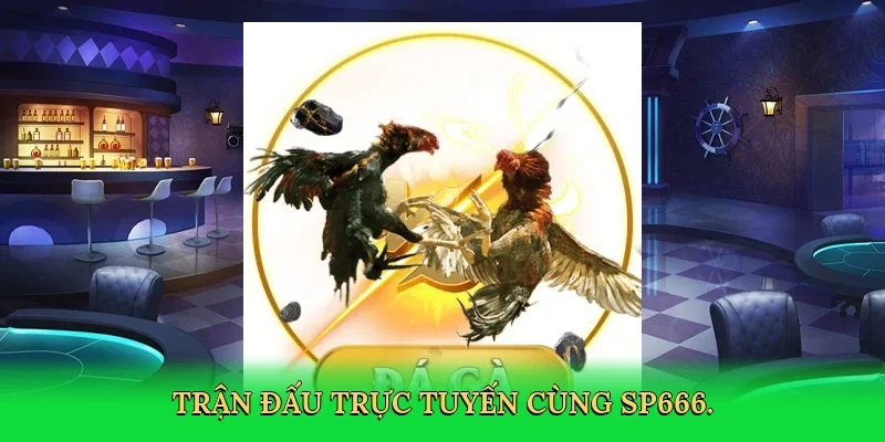 Trận đấu trực tuyến cùng SP666.